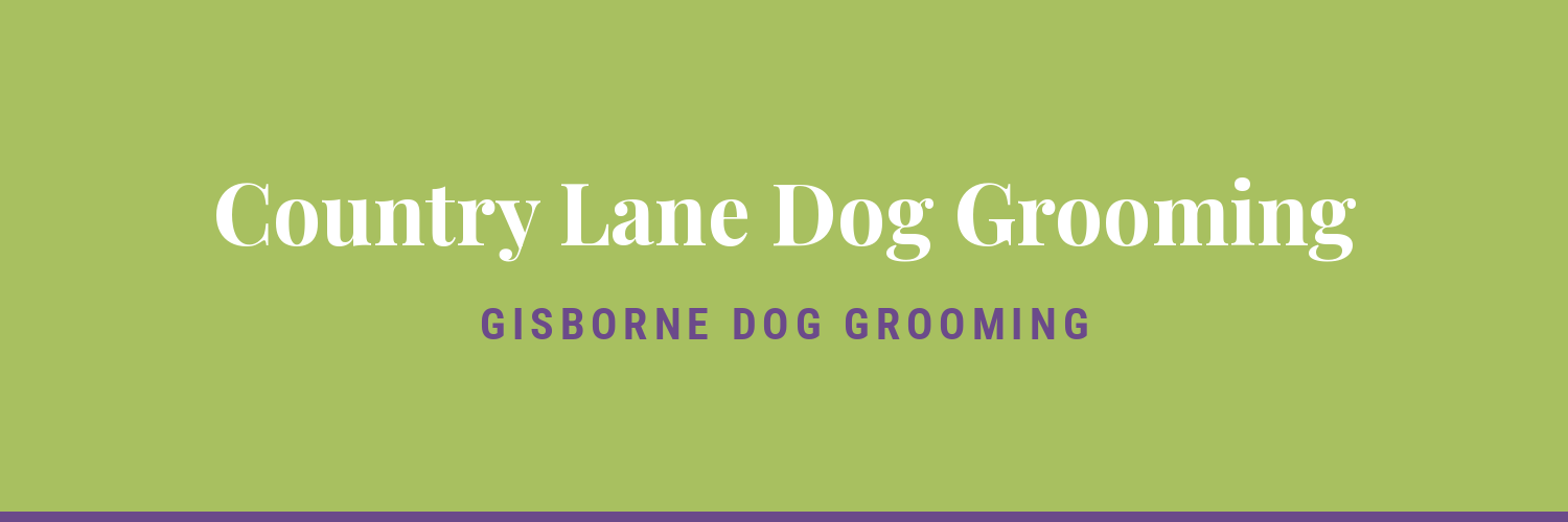 Country Lane Dog Grooming - dog grooming in Gisborne