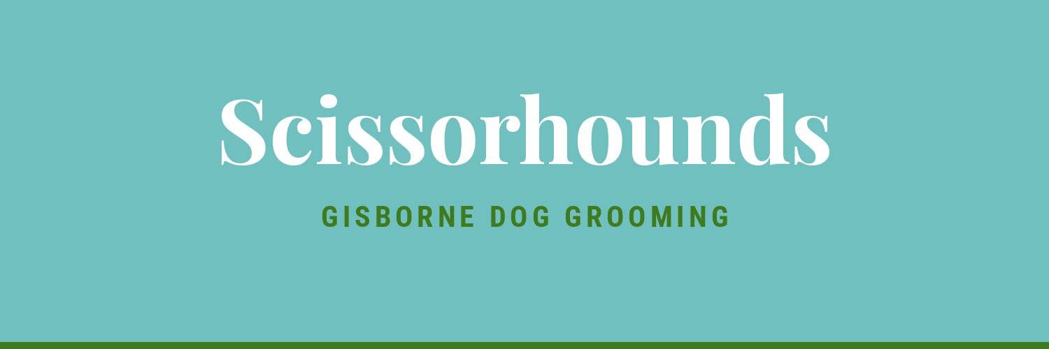 Scissorhounds - dog grooming in Gisborne